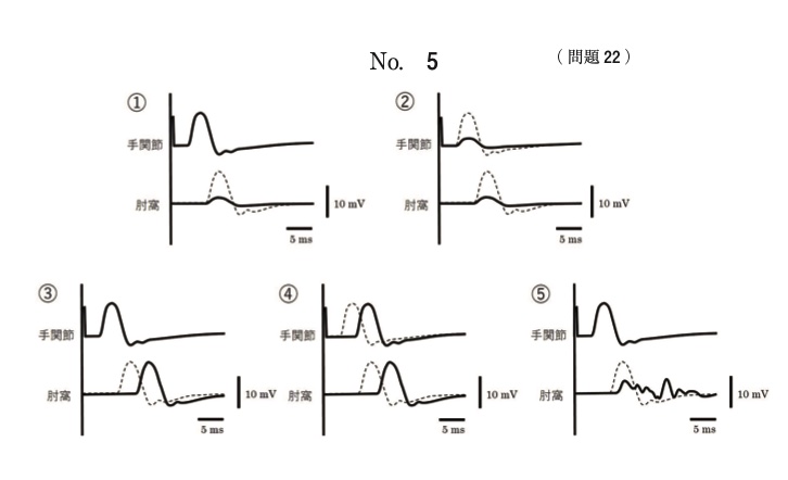 問題の画像